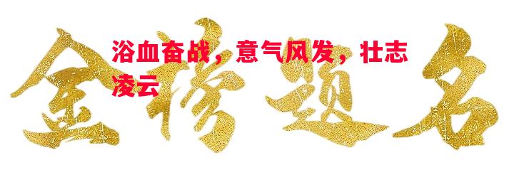 浴血奋战，意气风发，壮志凌云