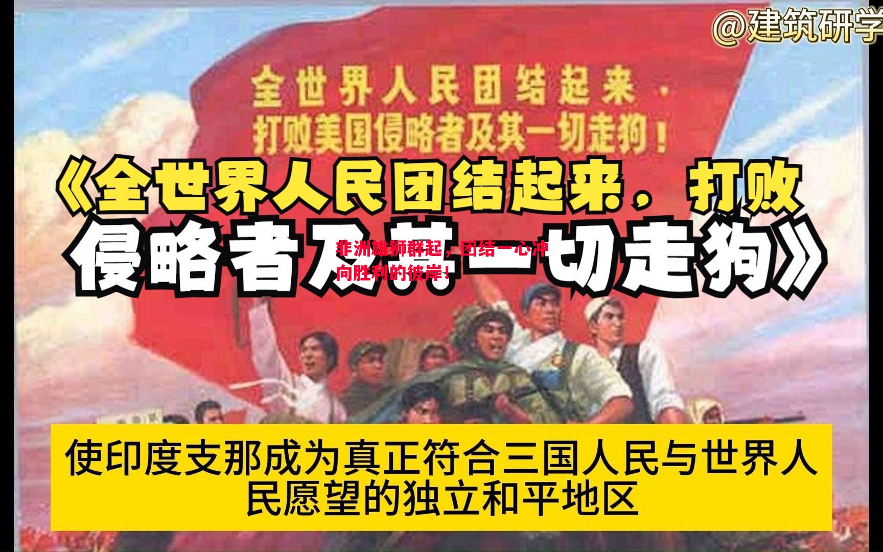 非洲雄狮群起，团结一心冲向胜利的彼岸！