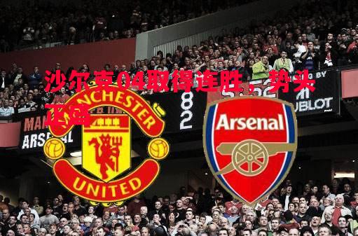 沙尔克04取得连胜，势头正盛